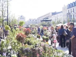 Hotel Parkhotel Centrum 3*